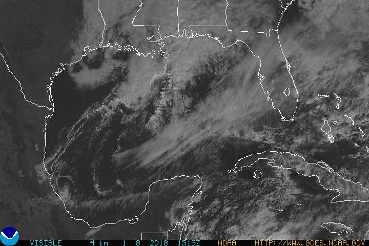 Gulf of Mexico Visible Satellite Image