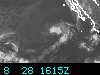 Full Size Hurricane IR Image (Pacific)